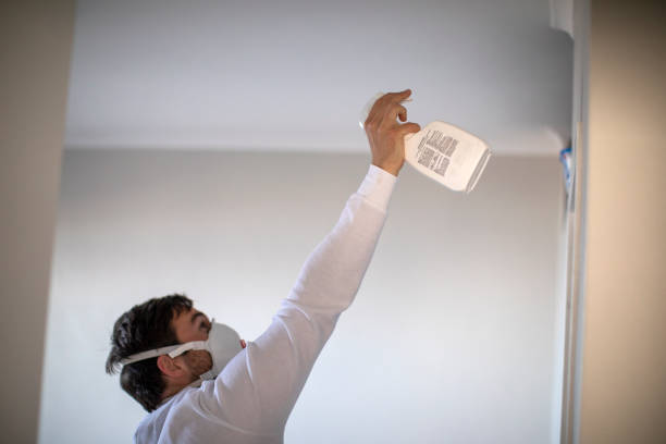 Best Commercial Mold Remediation in Key Vista, FL